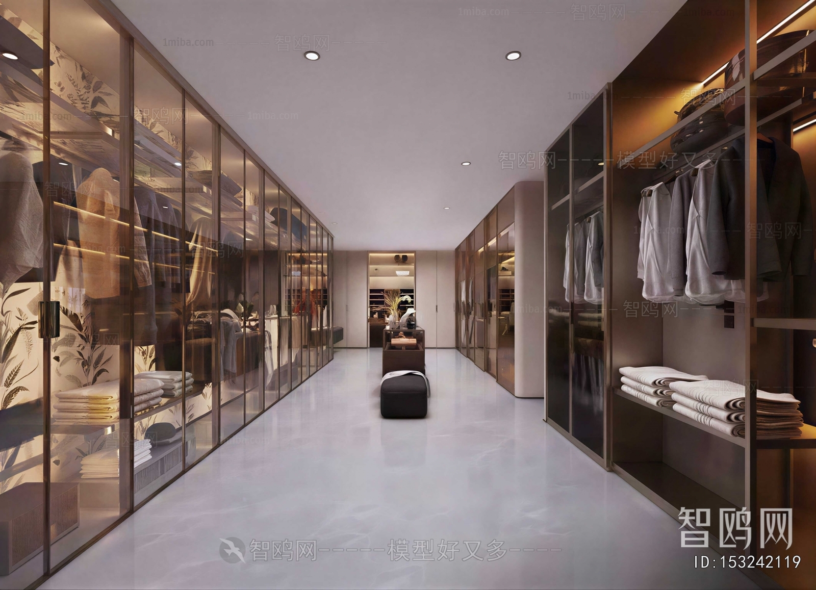 Modern Clothes Storage Area