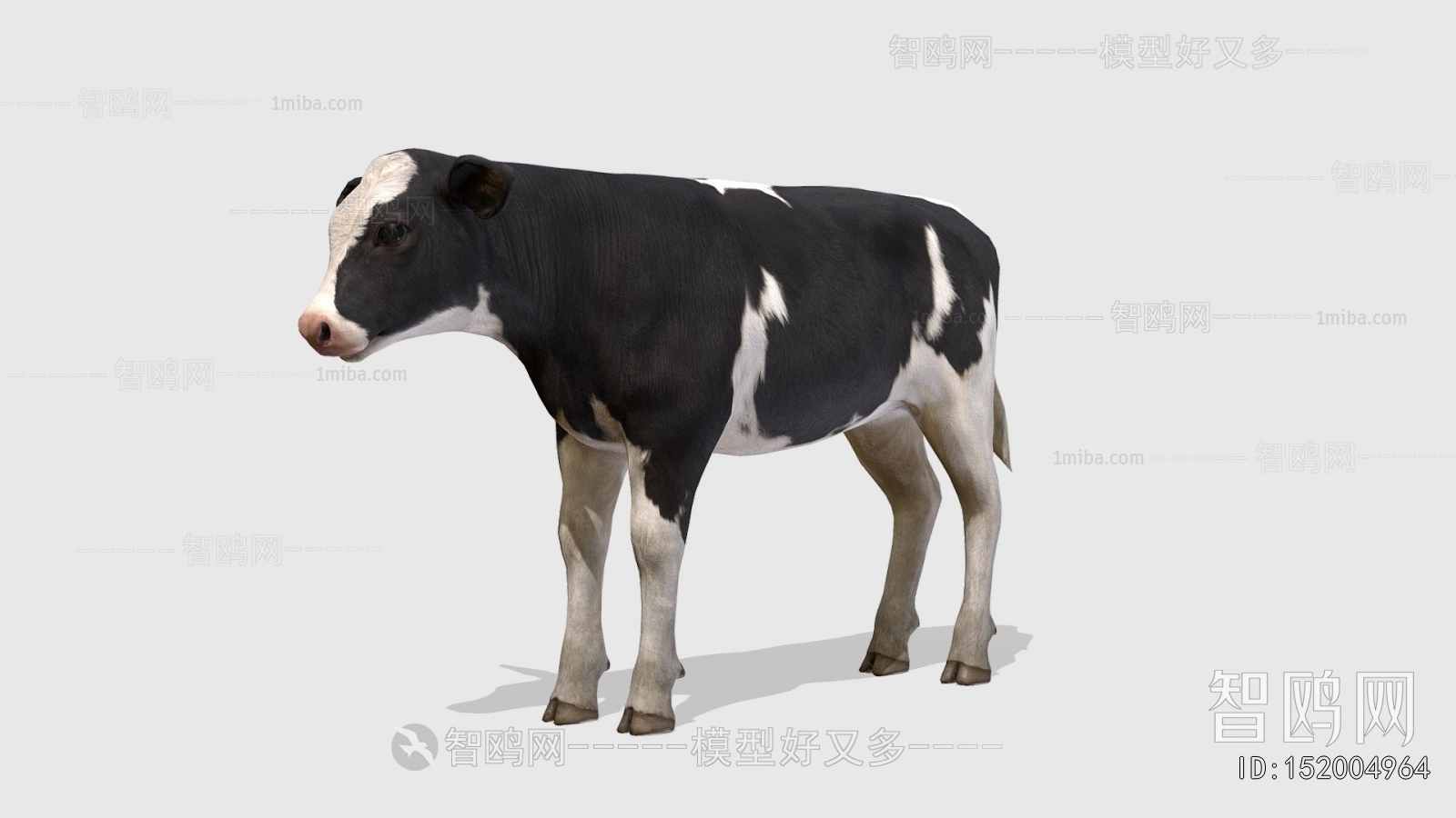 Modern Animal