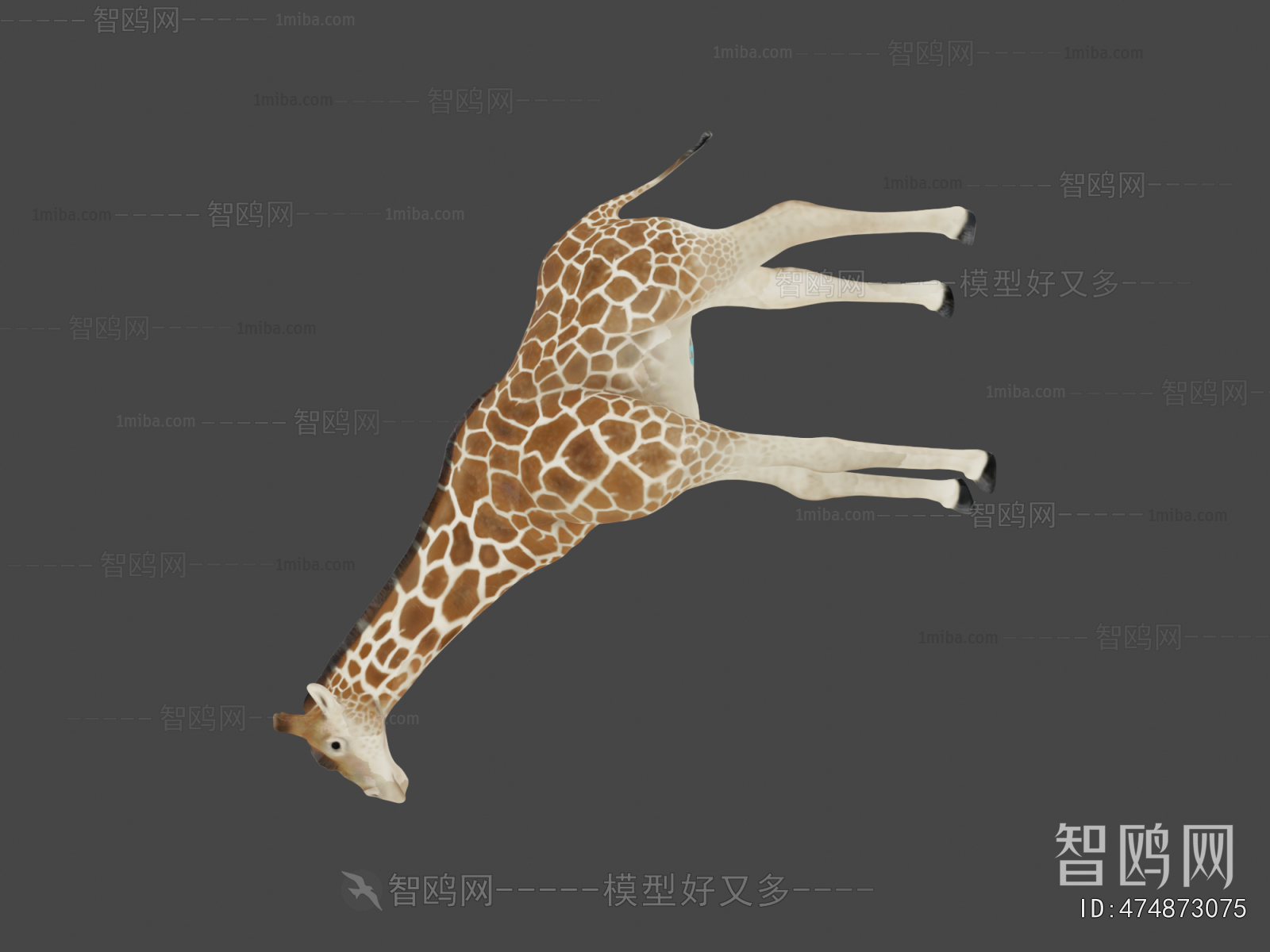 Modern Mammal