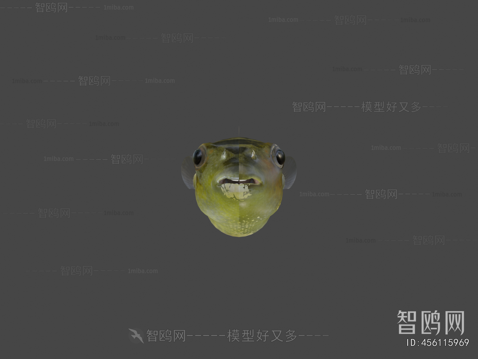 Modern Aquatic Animals