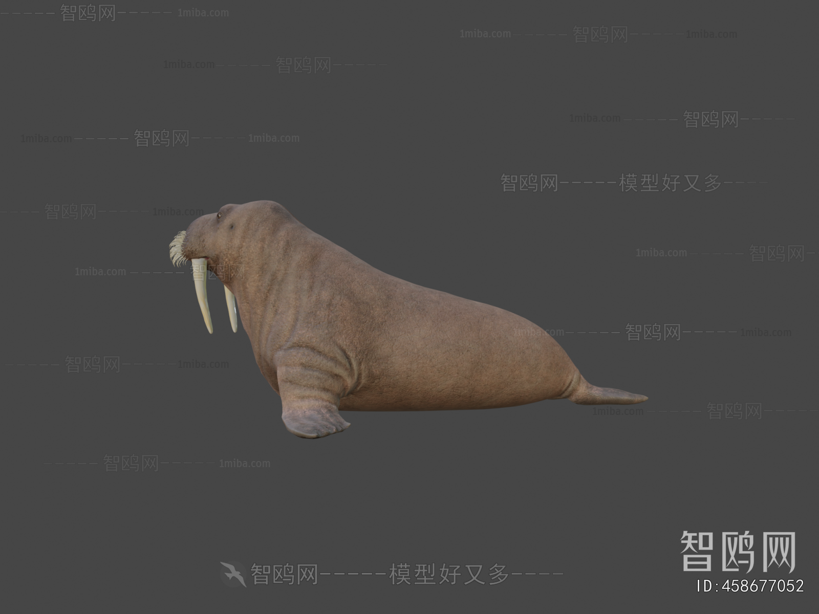 Modern Mammal