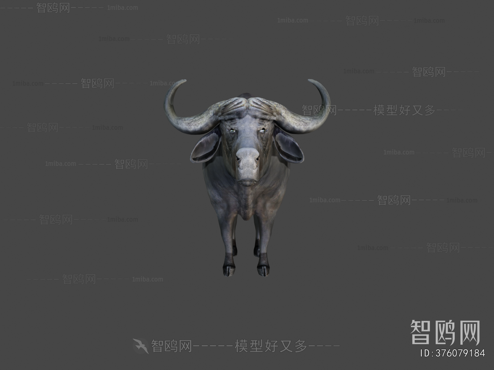 Modern Animal