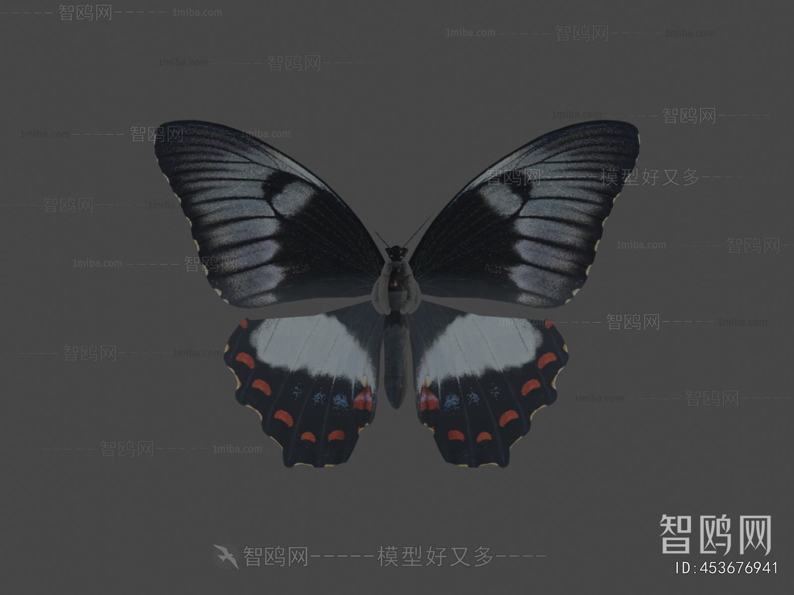 Modern Flying Animals