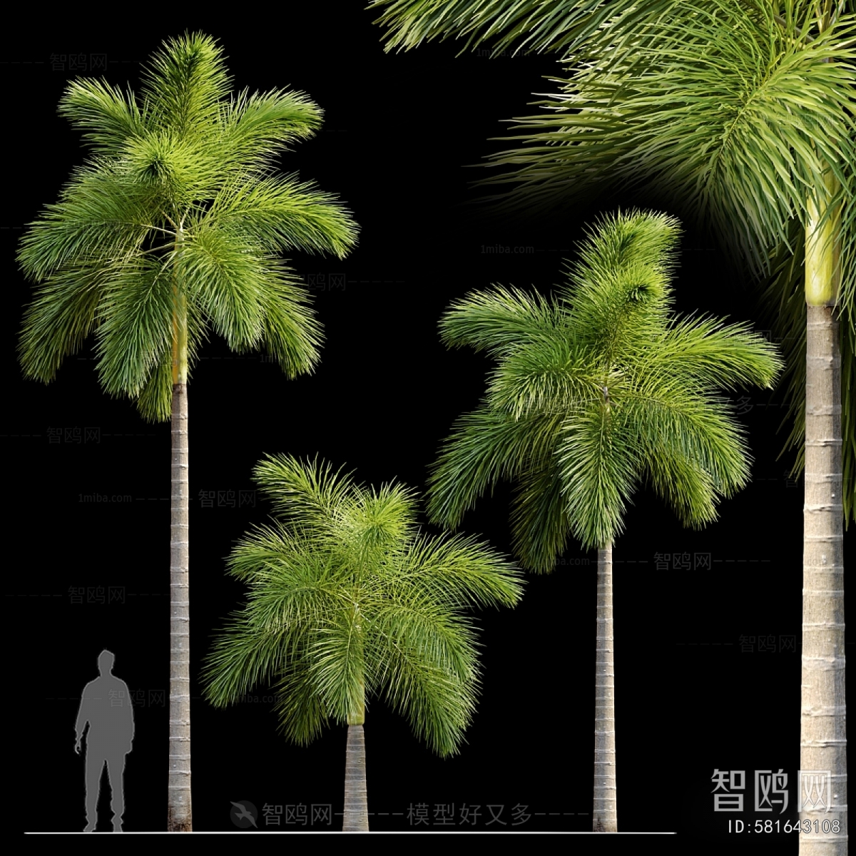 Modern Tree