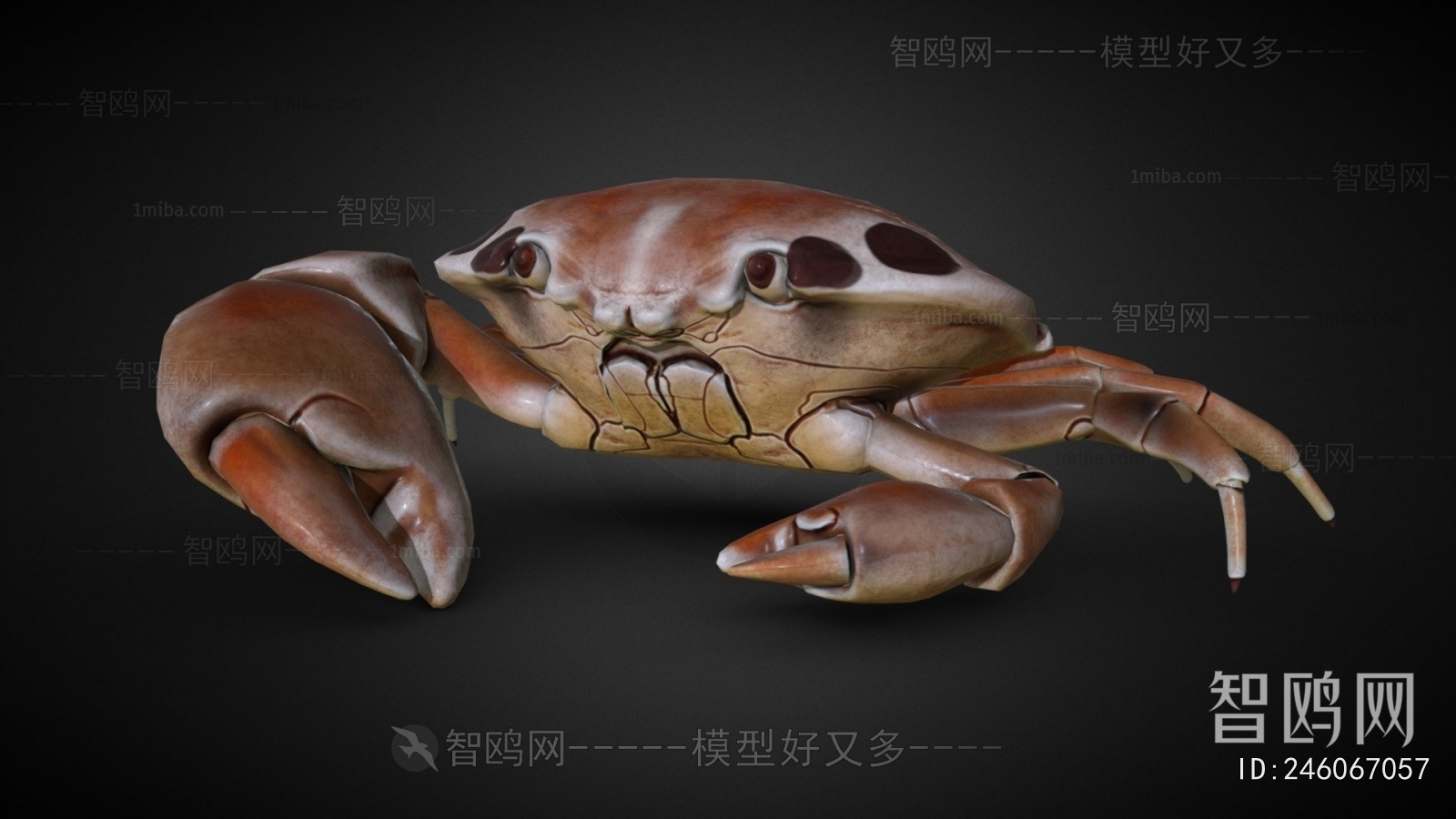 Modern Animal
