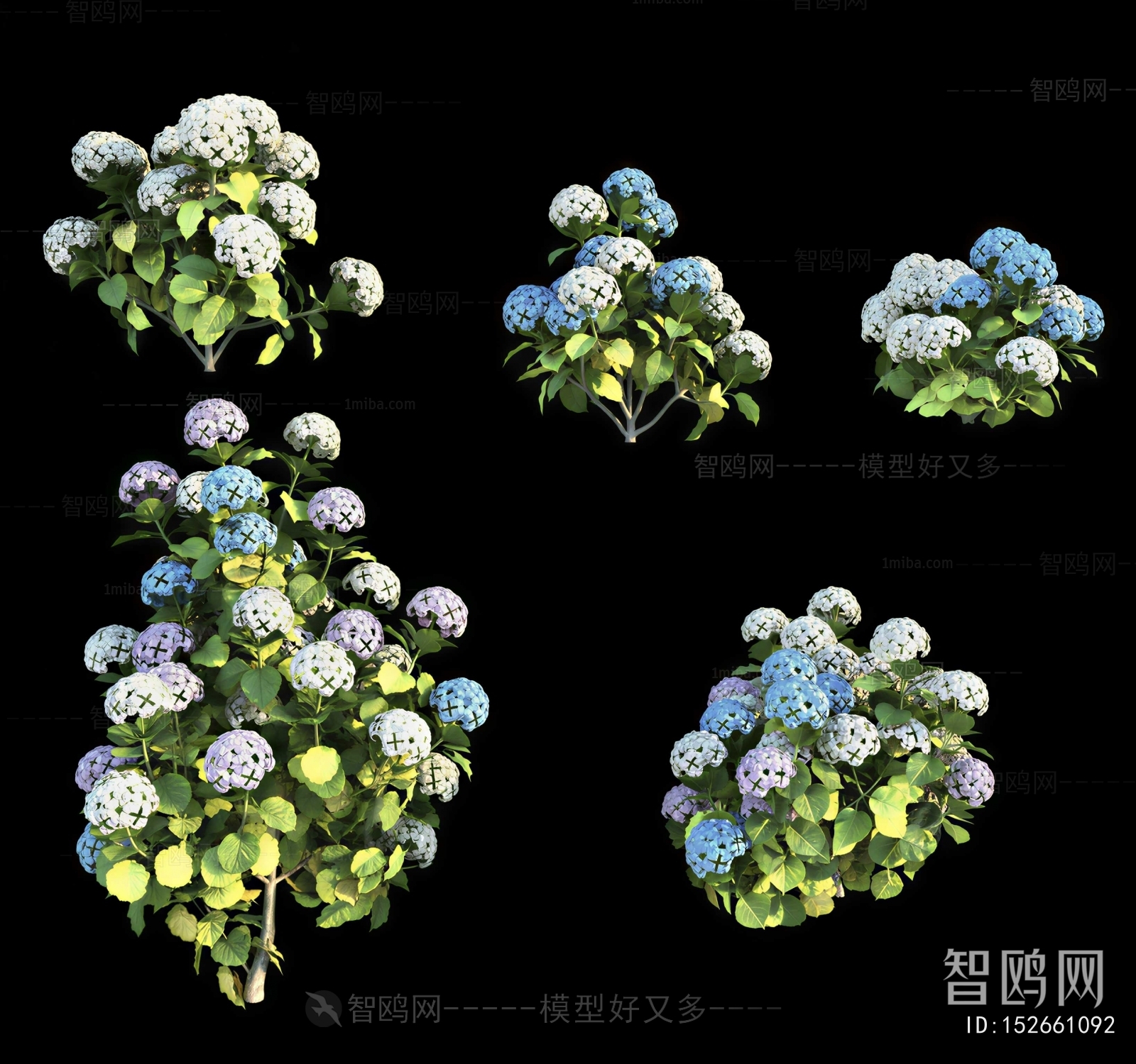 Modern Flowers And Grass