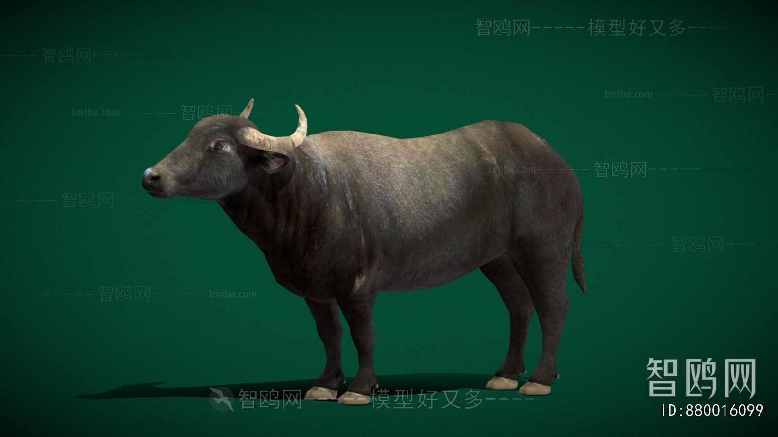 Modern Mammal