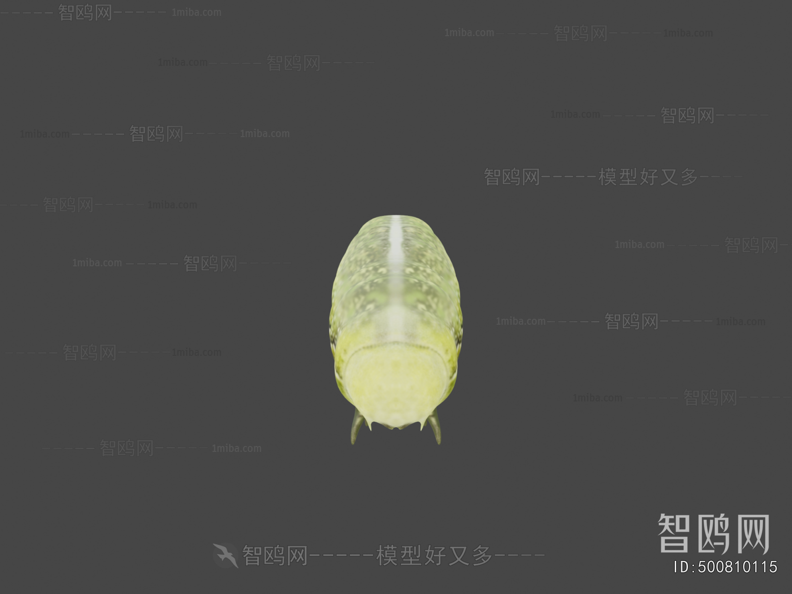 Modern Animal