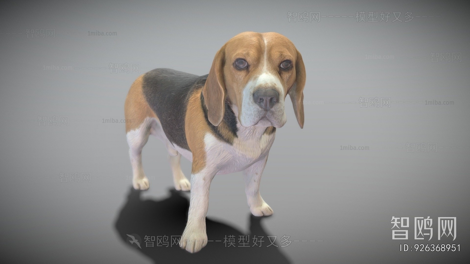 Modern Animal Dog