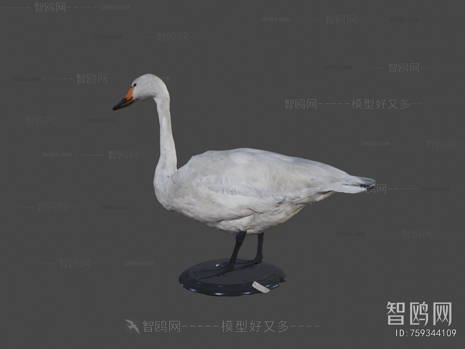 Modern Animal