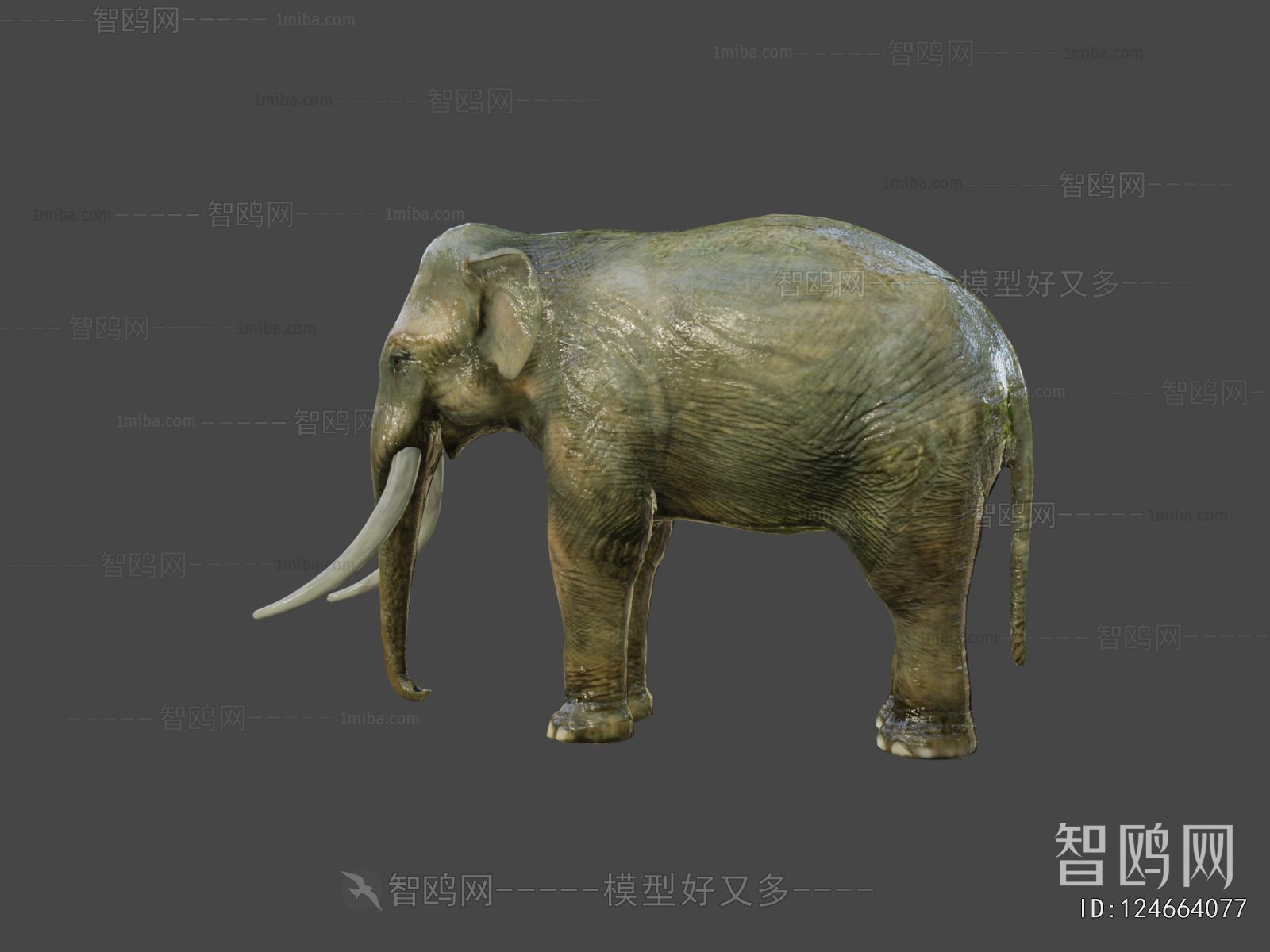 Modern Animal