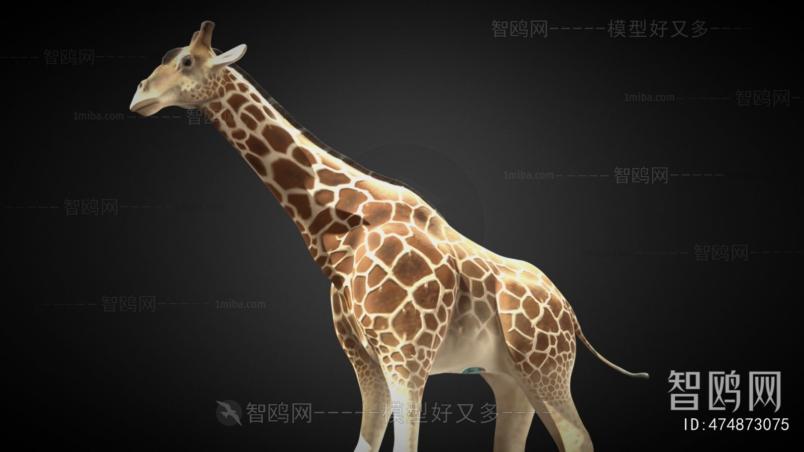 Modern Mammal