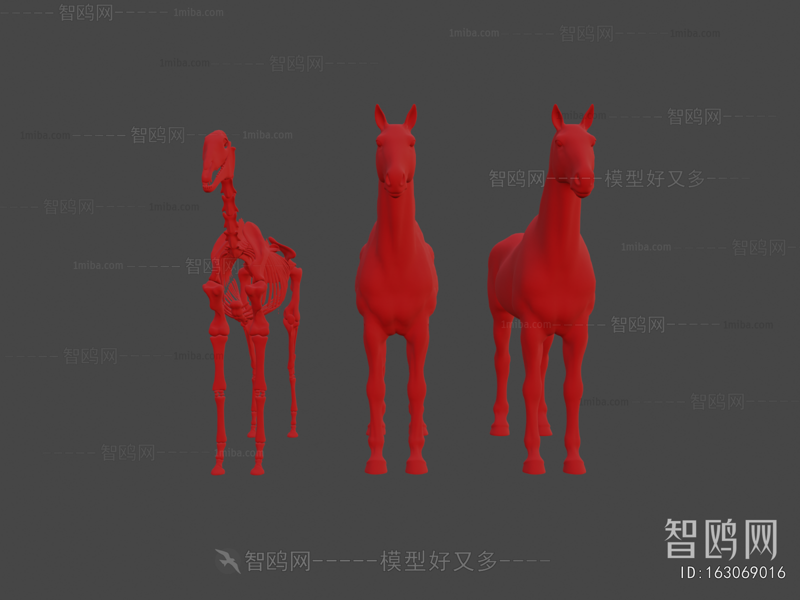 Modern Animal Horse