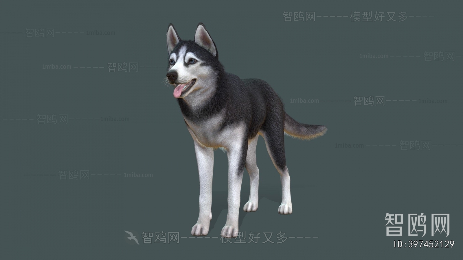 Modern Animal