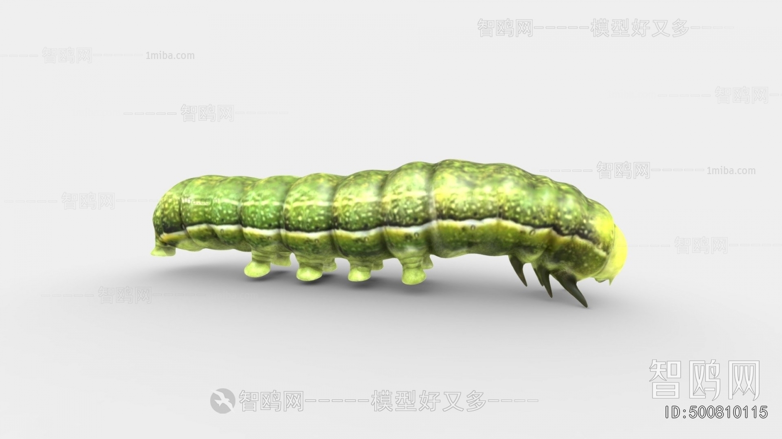 Modern Animal