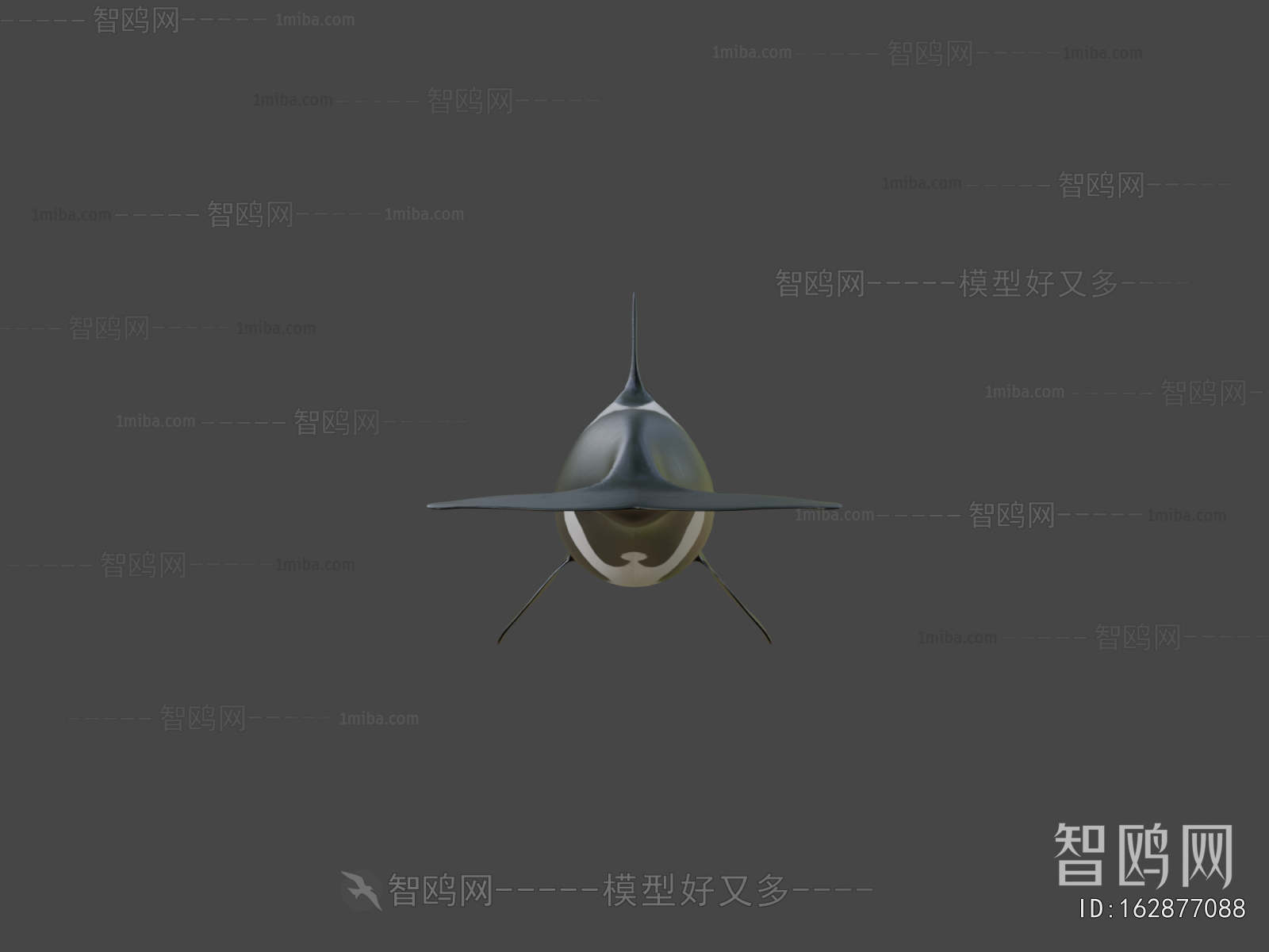 Modern Aquatic Animals