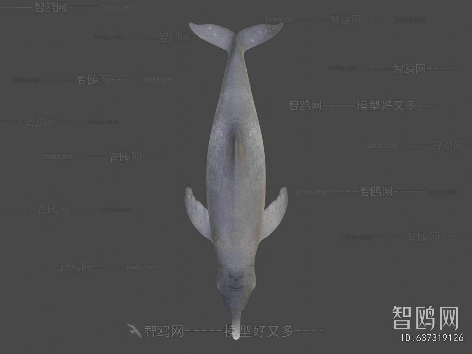 Modern Animal