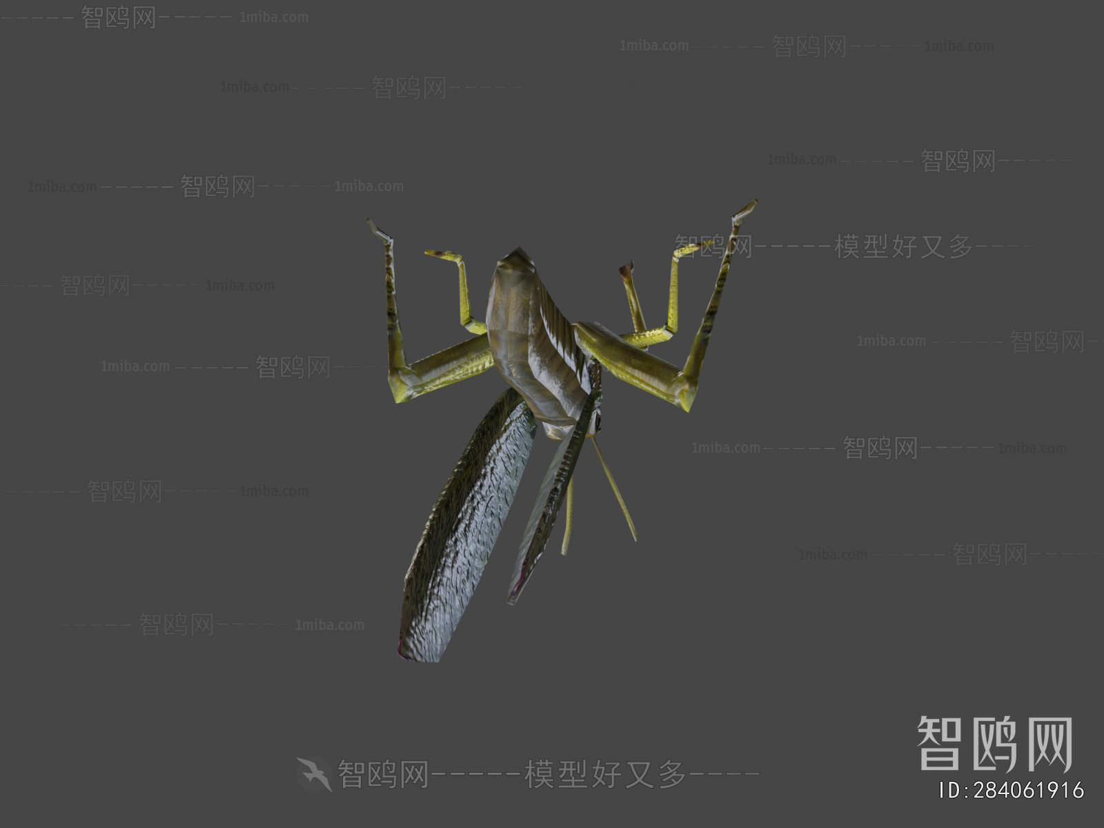 Modern Animal