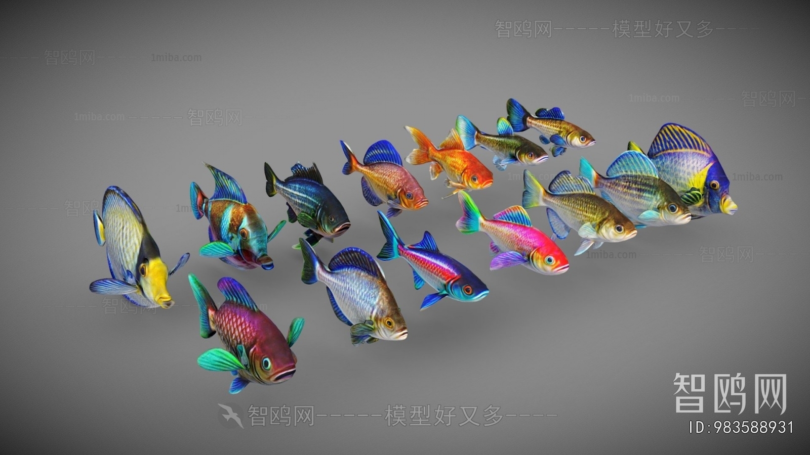 Modern Animal