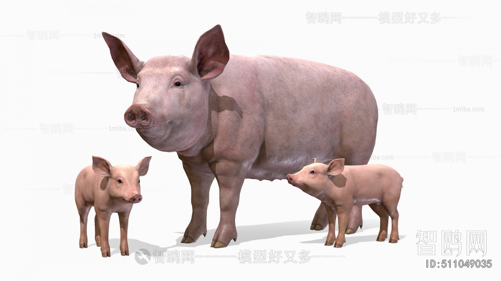 Modern Animal Pig