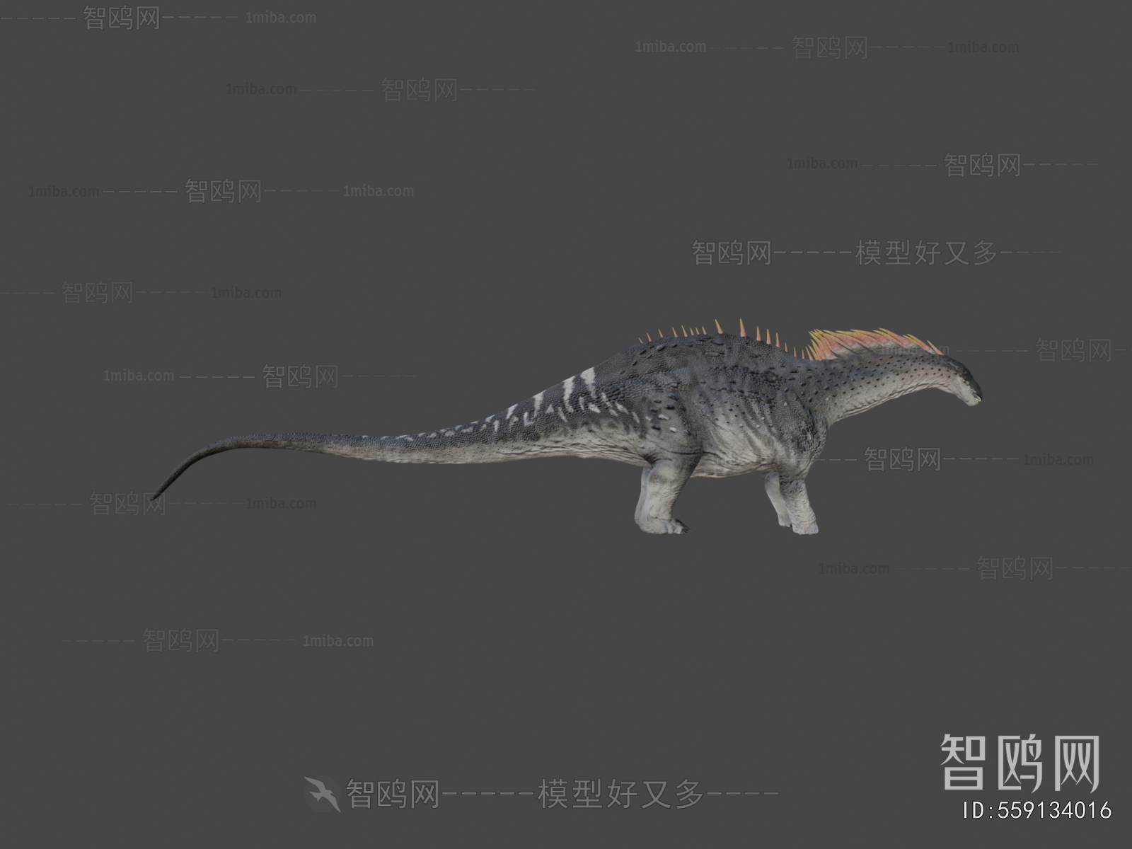 Modern Animal
