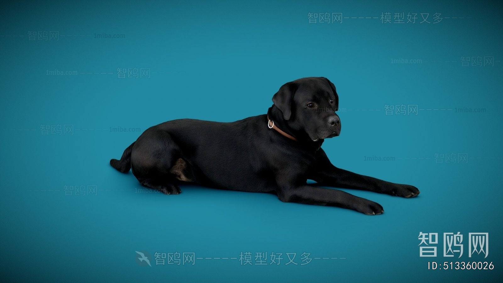 Modern Animal Dog
