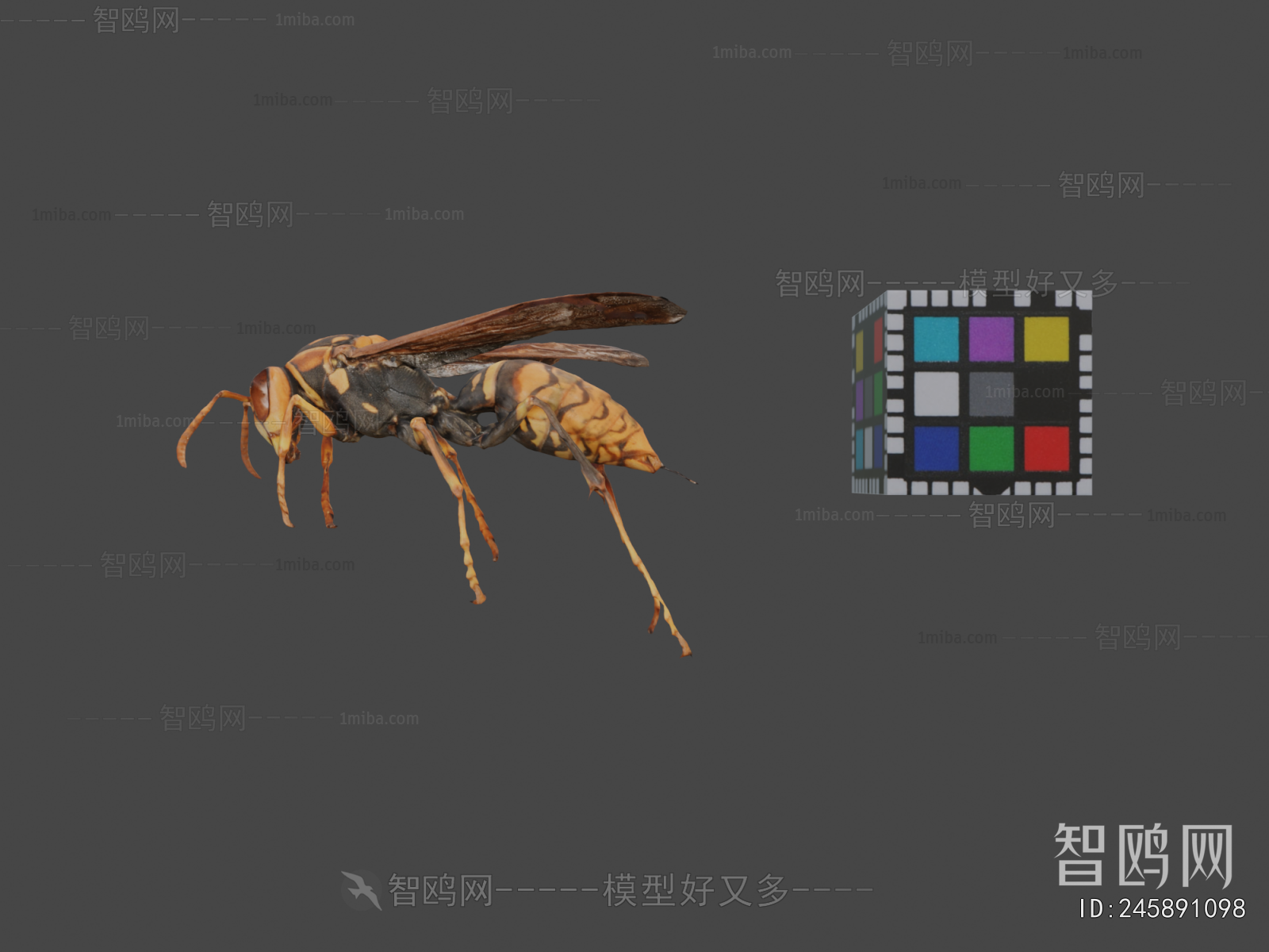 Modern Animal