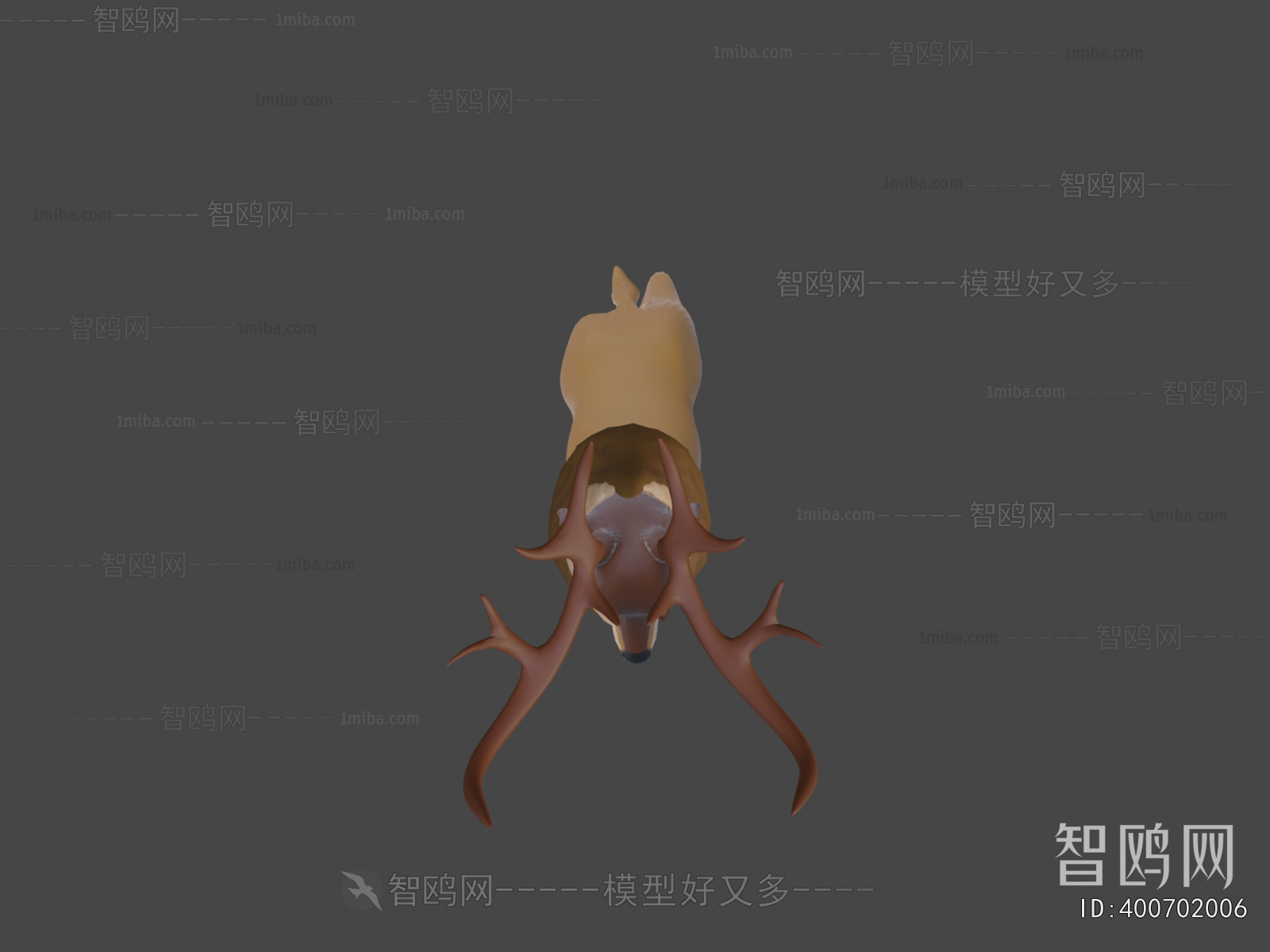 Modern Animal