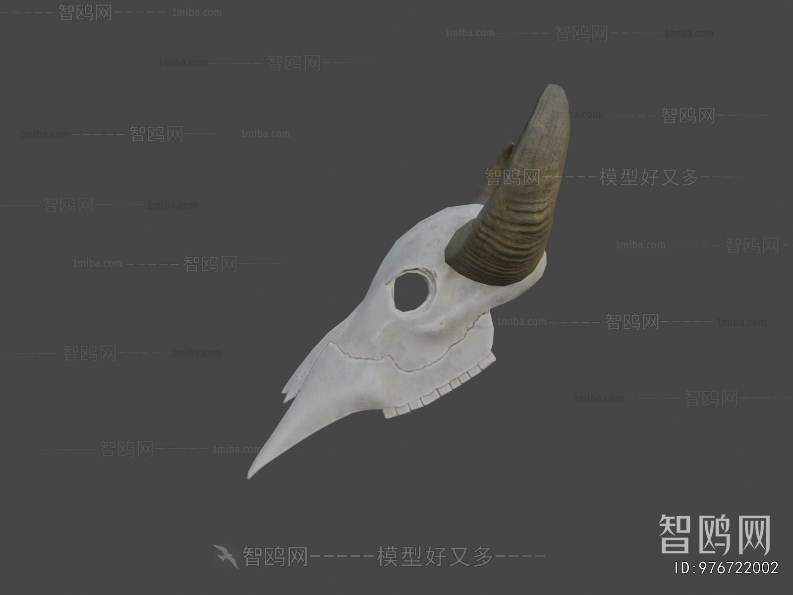 Modern Animal