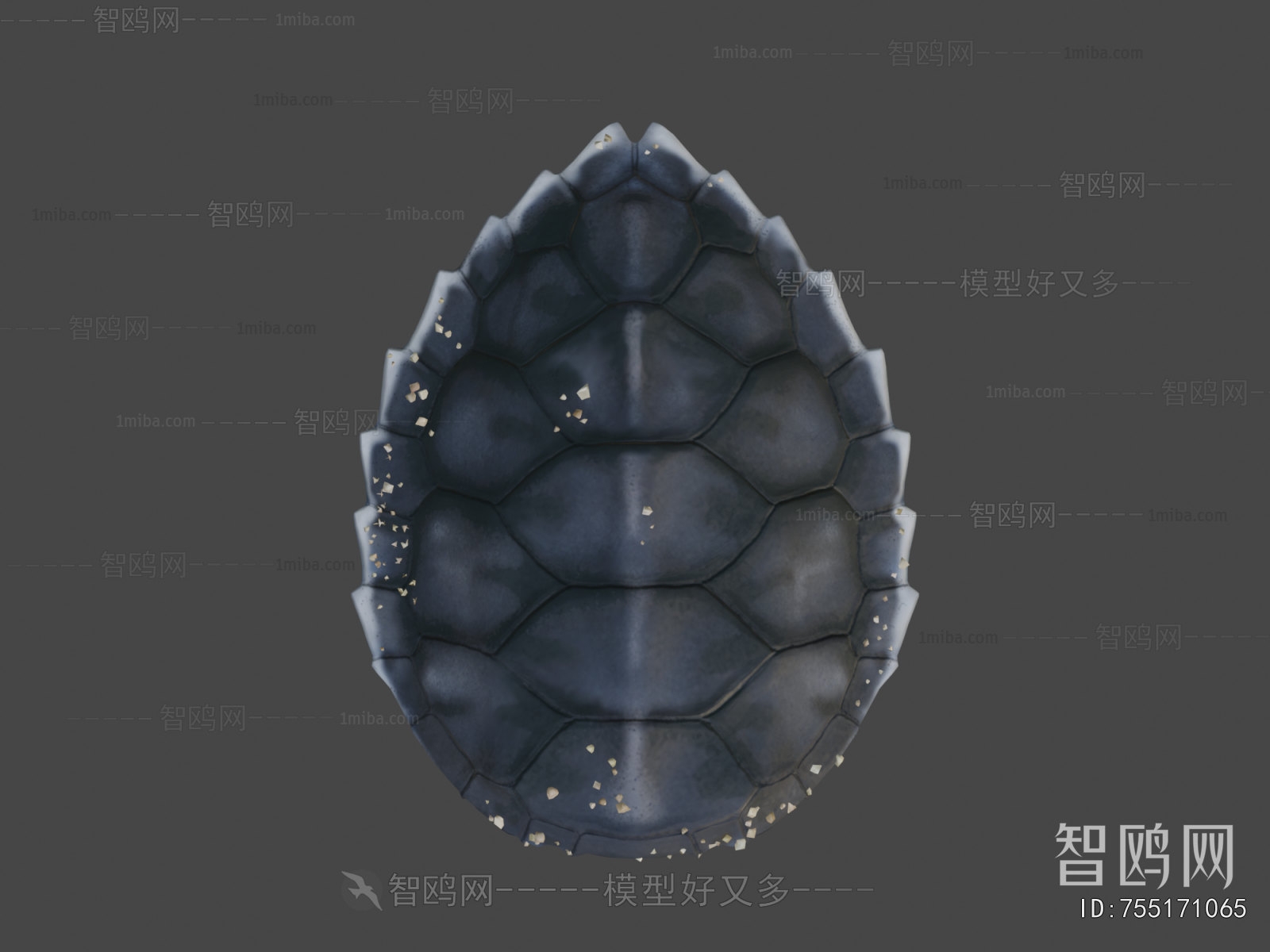 Modern Reptile