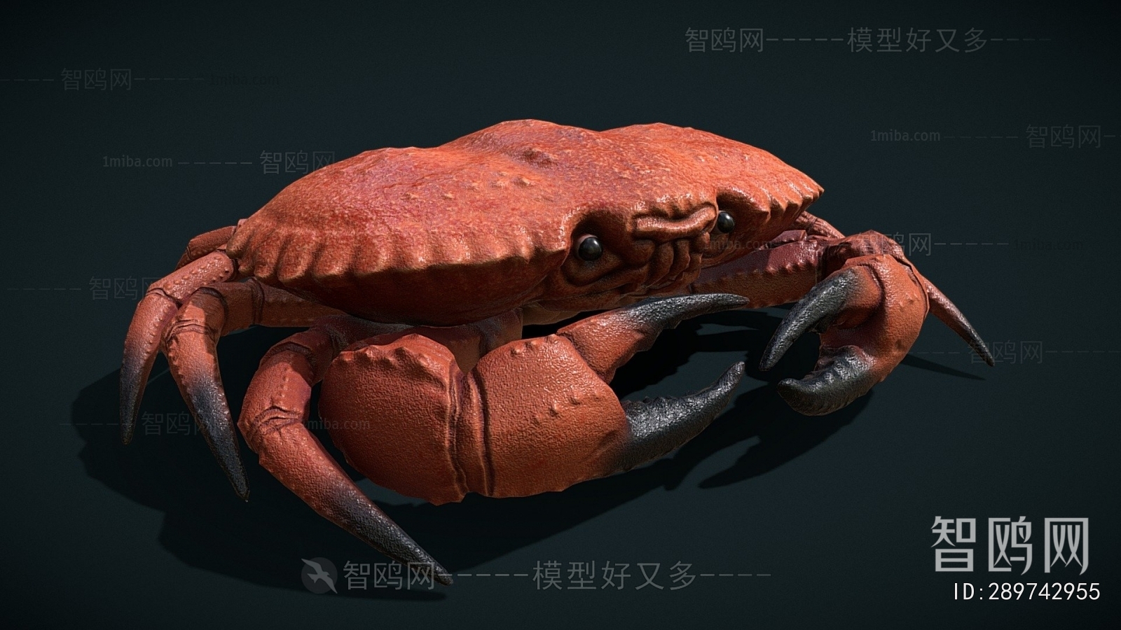 Modern Animal
