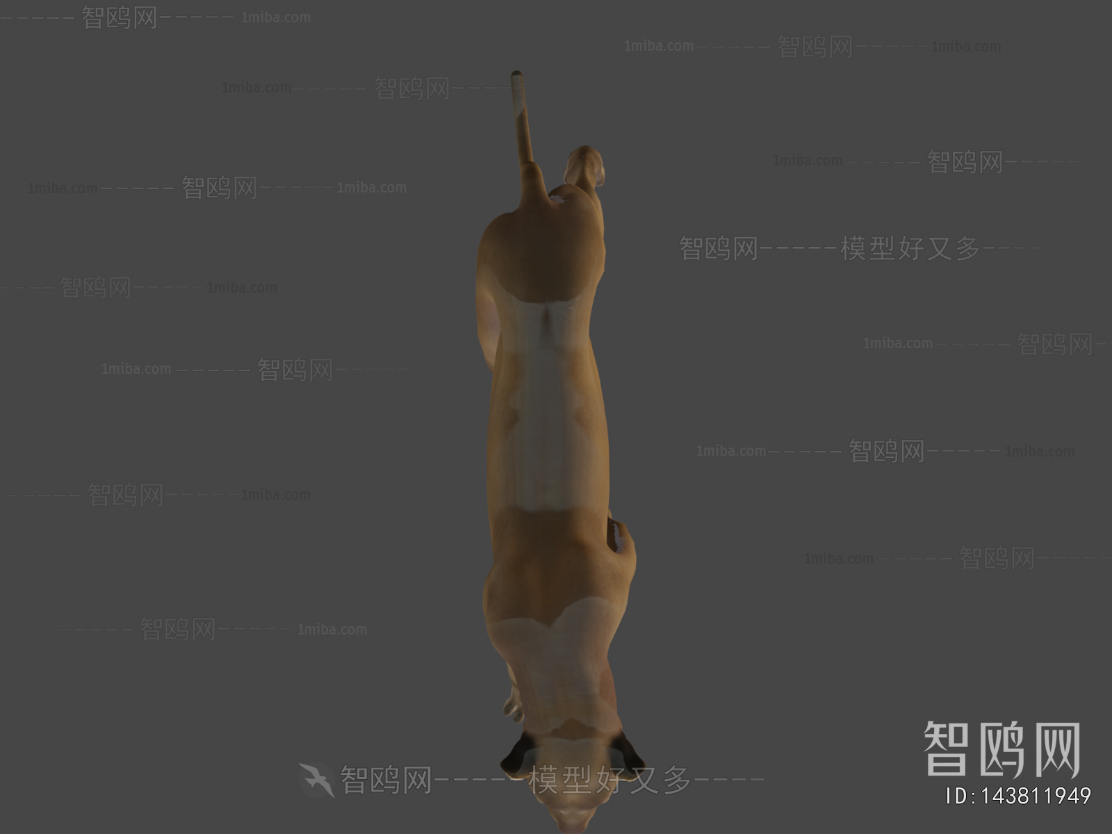 Modern Animal Dog