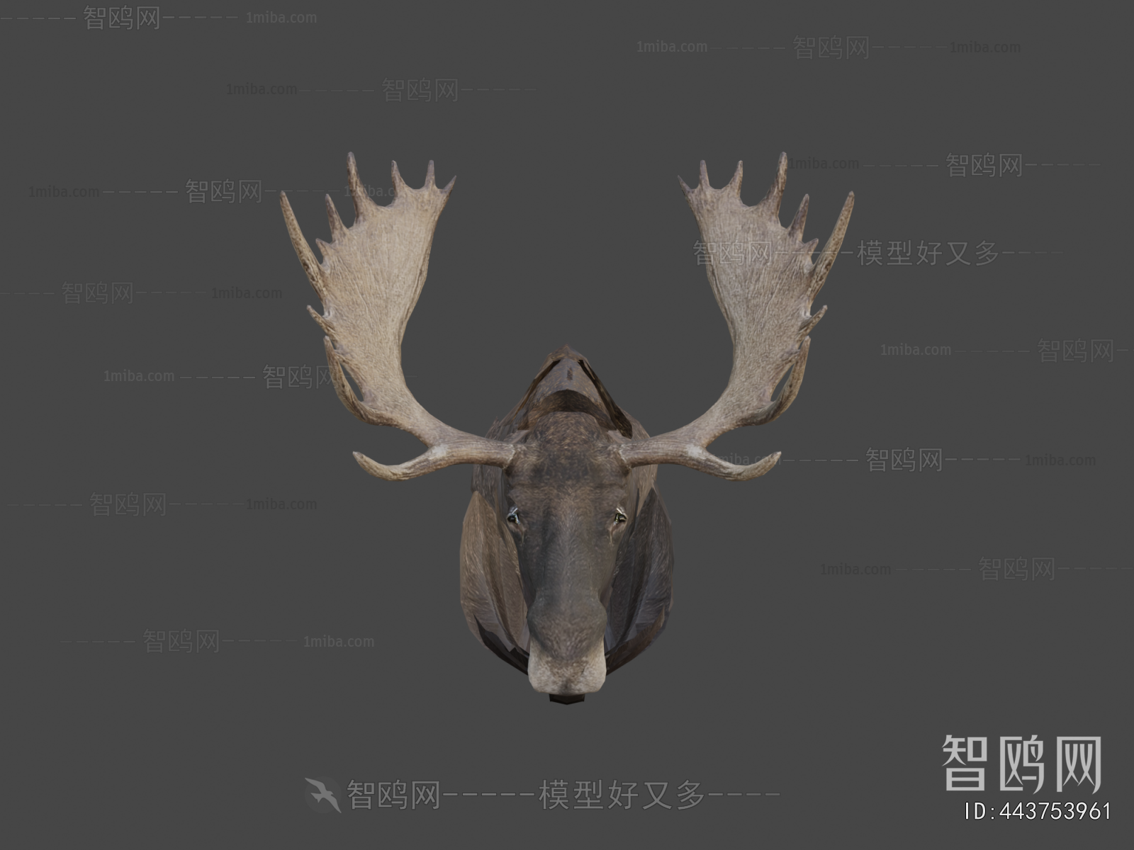 Modern Mammal