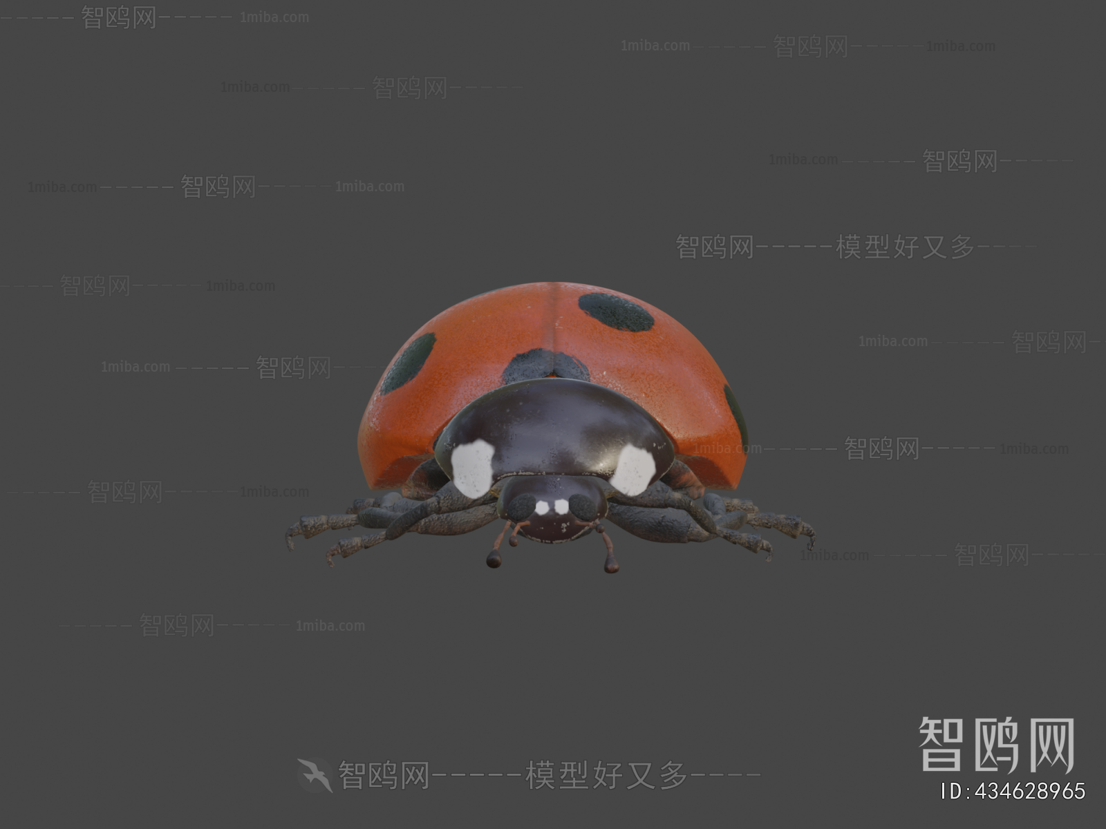 Modern Animal