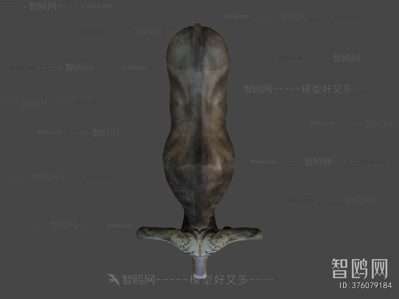 Modern Animal