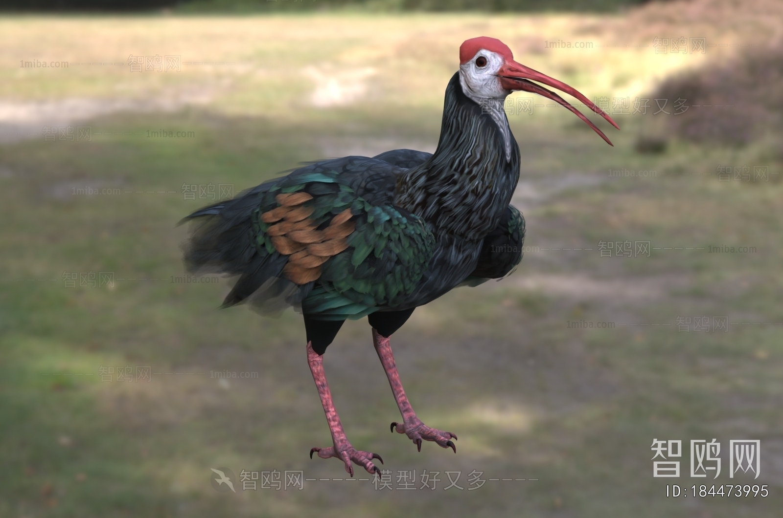Modern Flying Animals