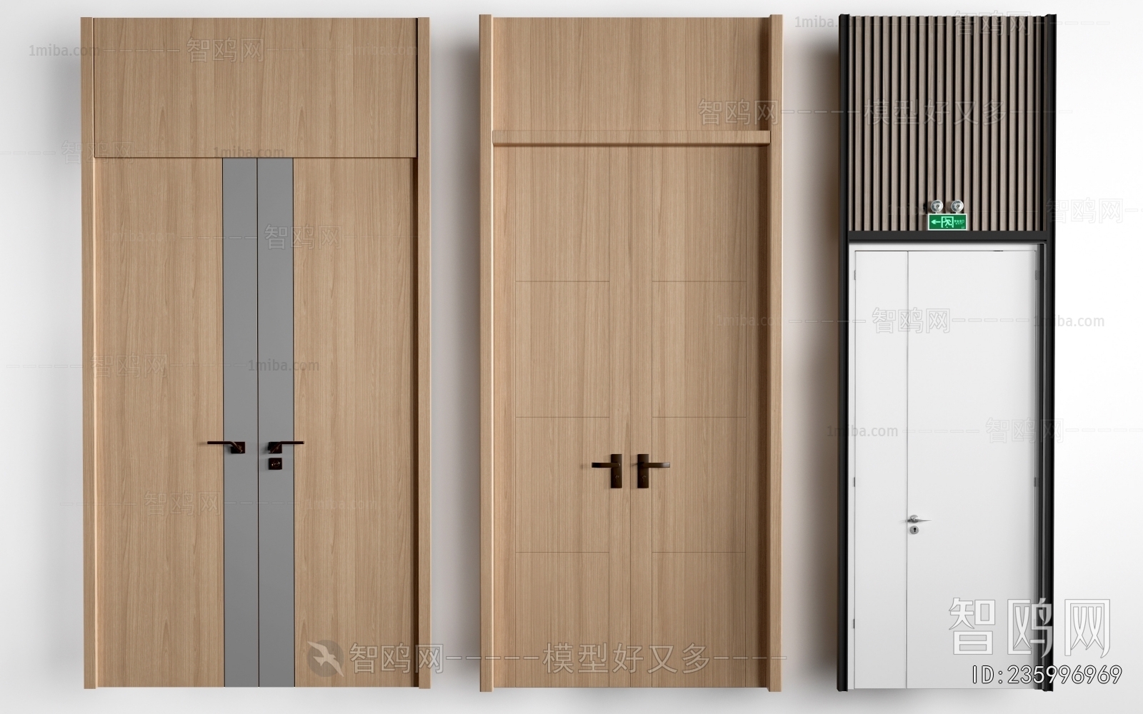 Modern Door