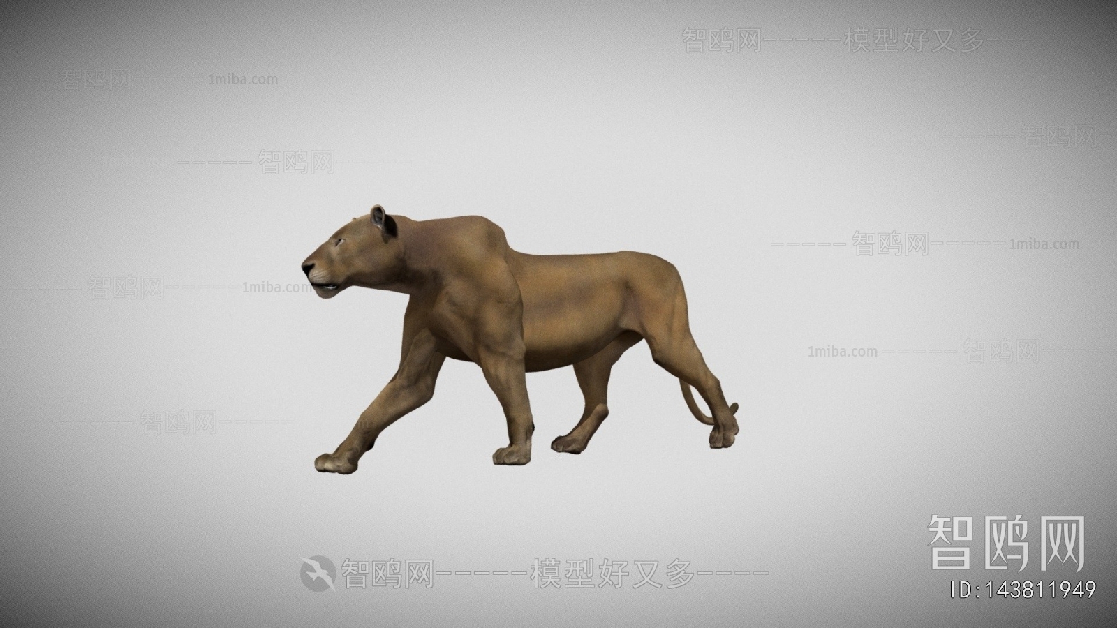 Modern Animal Dog