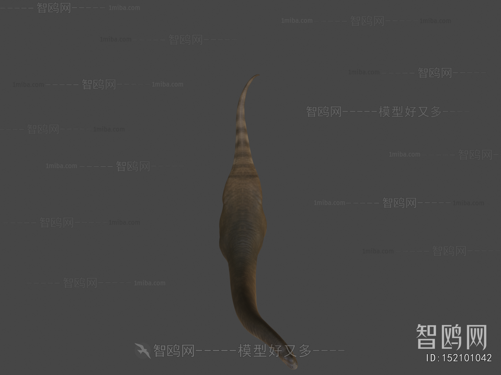Modern Animal