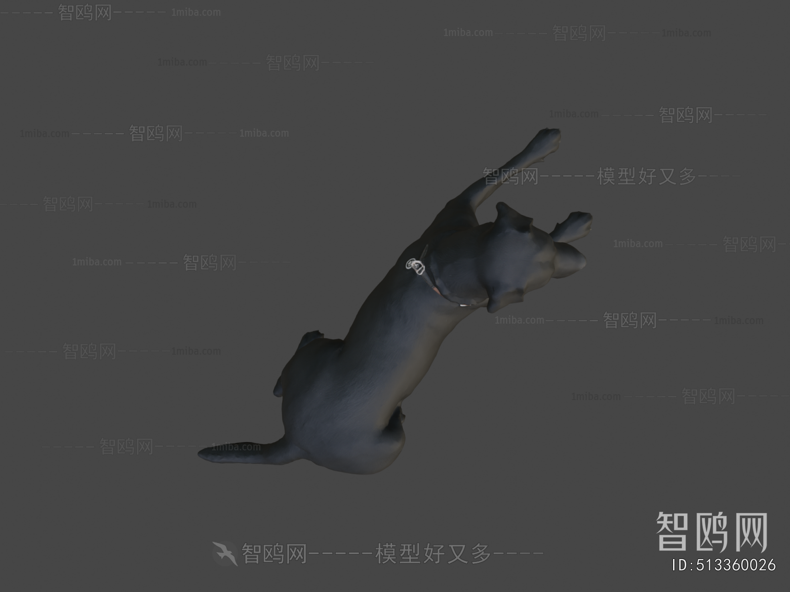 Modern Animal Dog