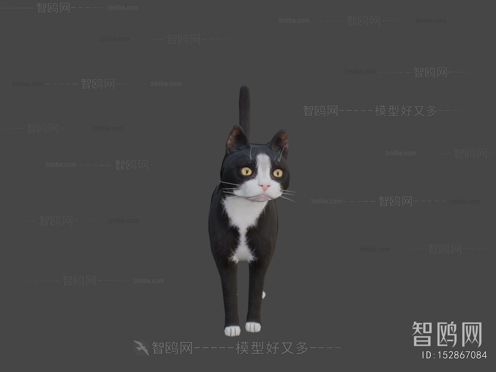 Modern Animal