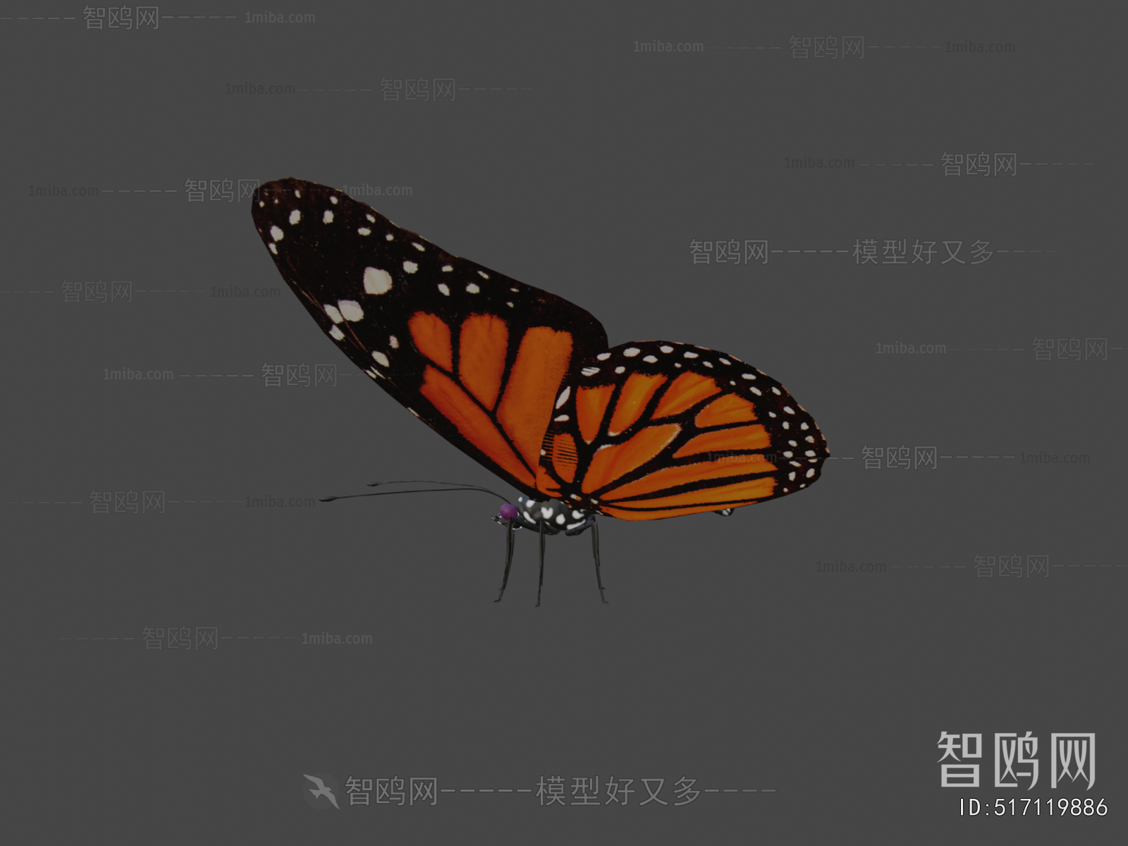 Modern Animal