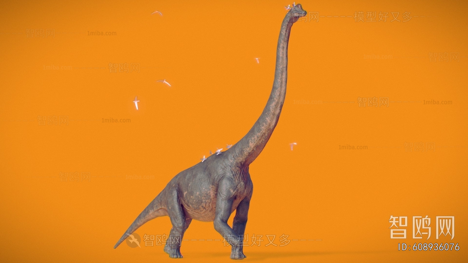 Modern Animal