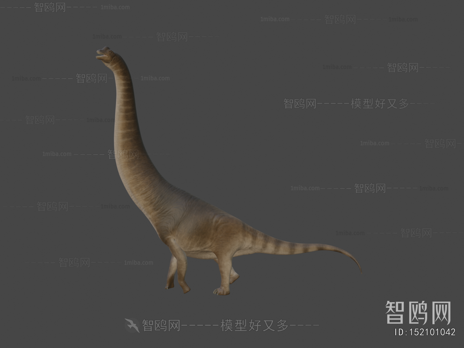 Modern Animal