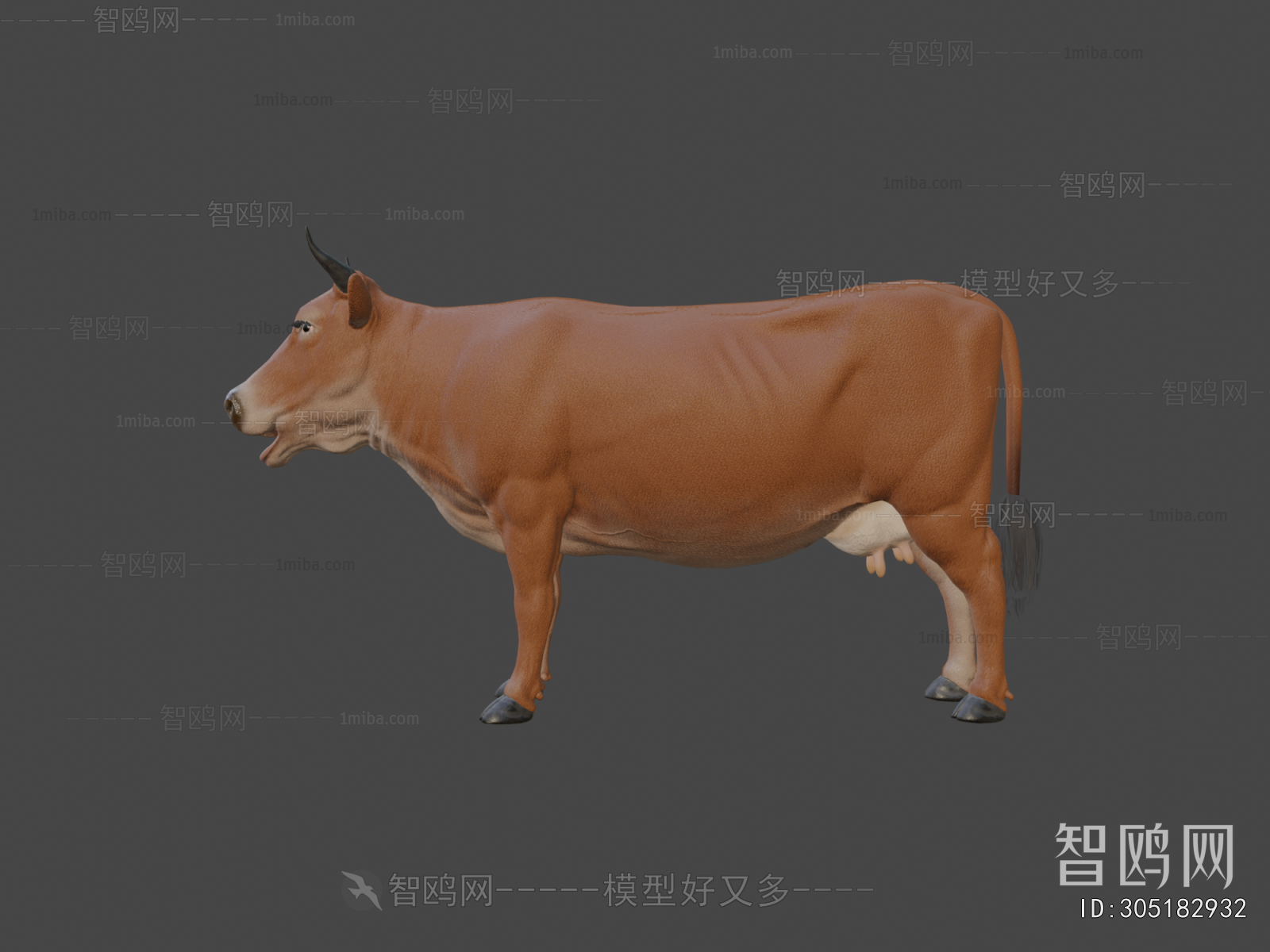 Modern Mammal