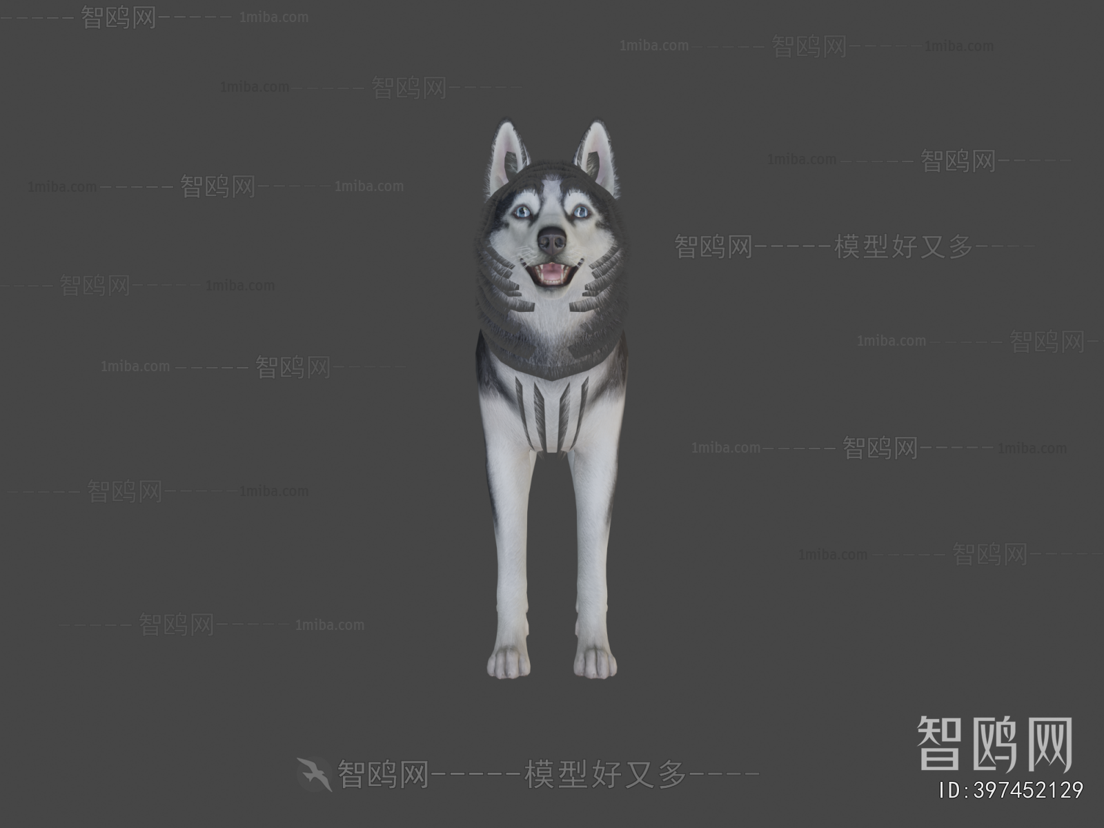 Modern Animal