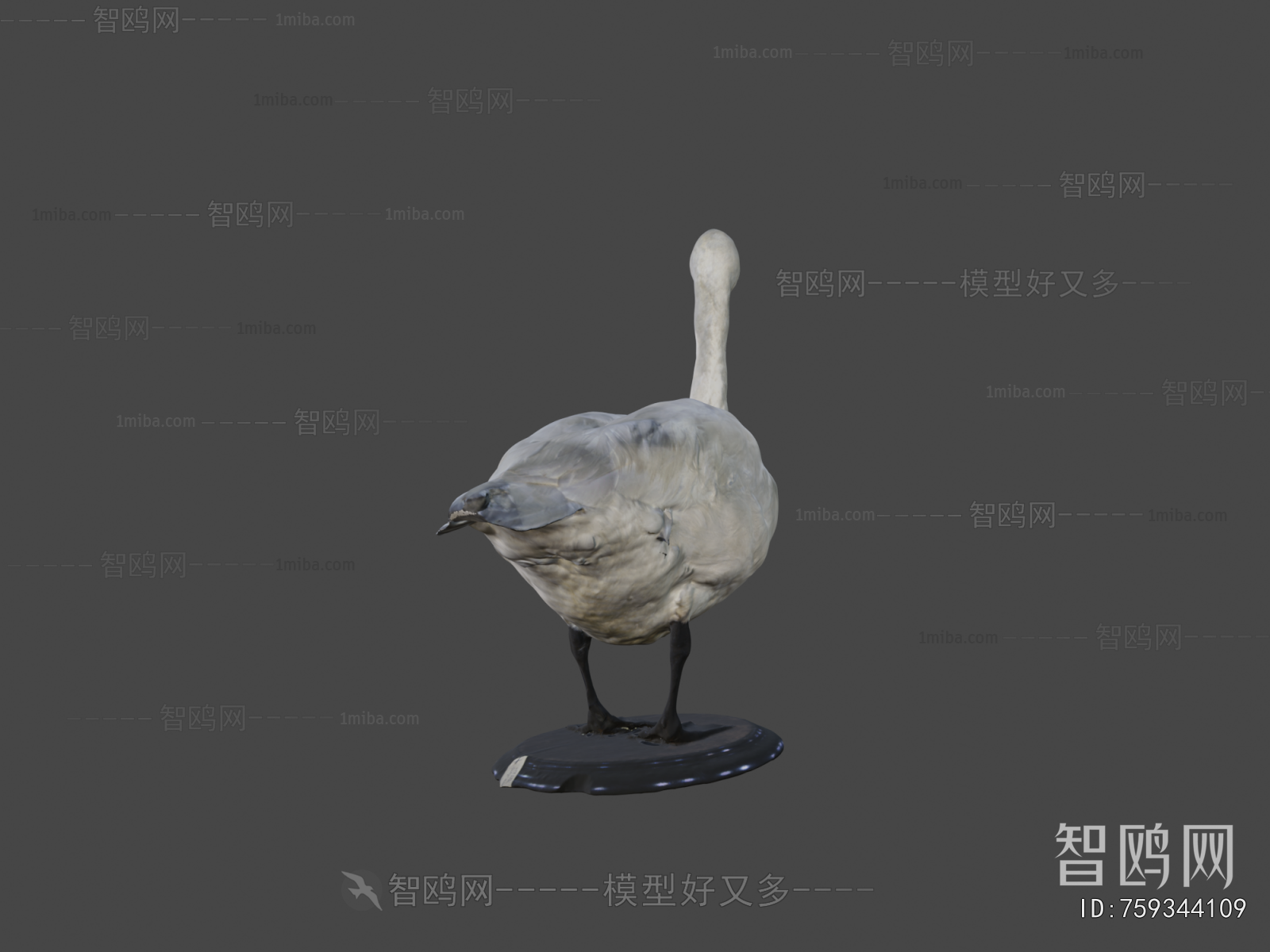 Modern Animal