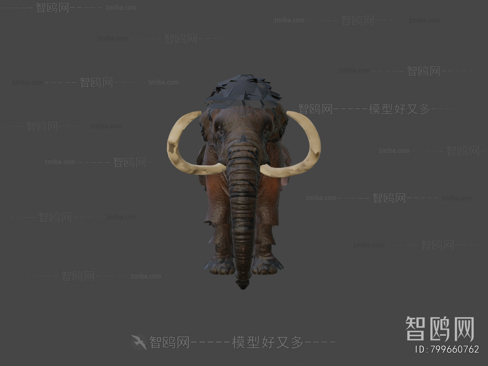 Modern Animal
