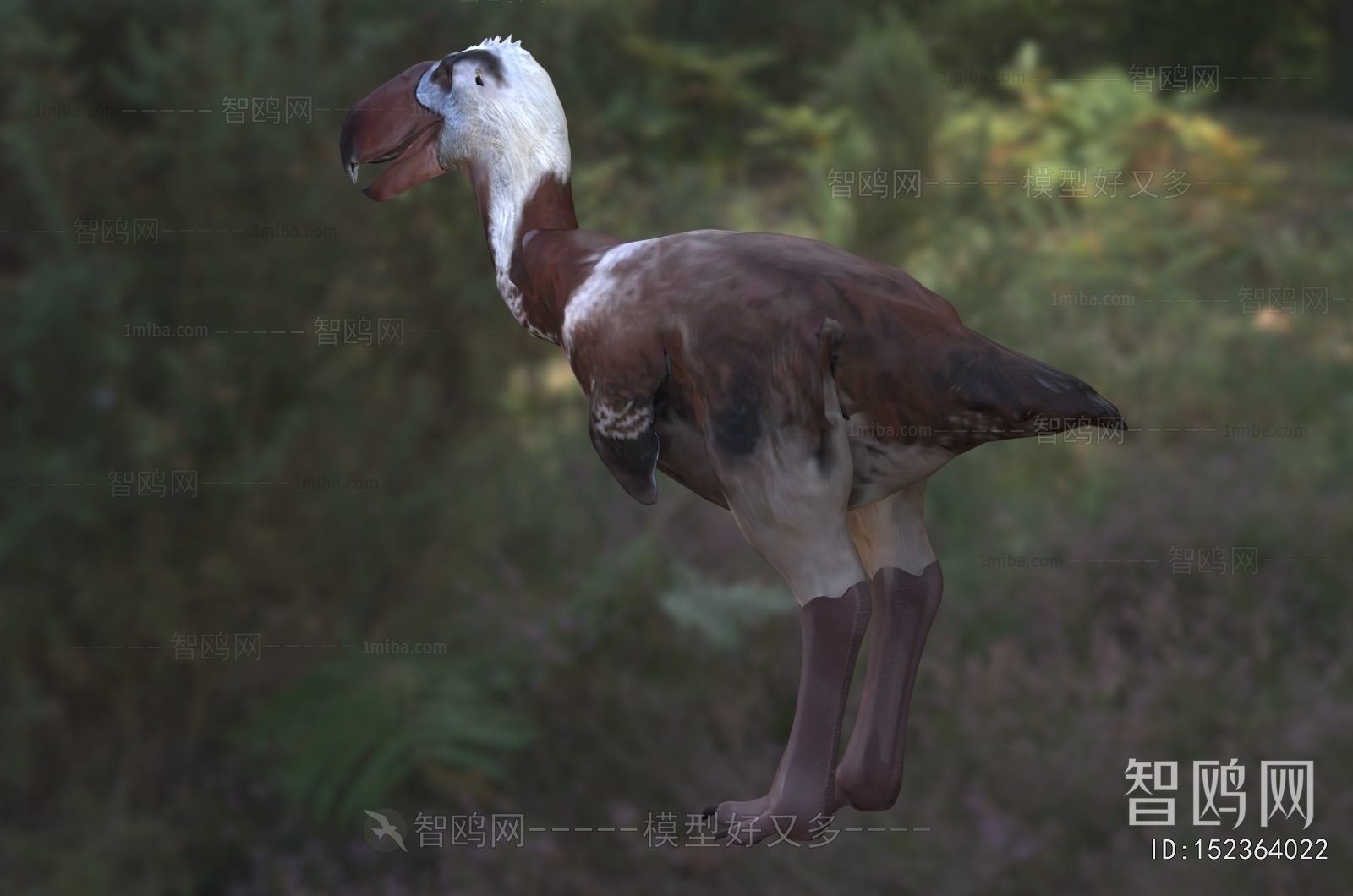 Modern Flying Animals