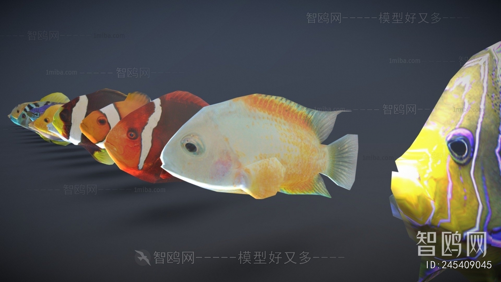 Modern Aquatic Animals